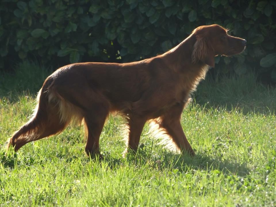 Gessy Des bords du rieuvert